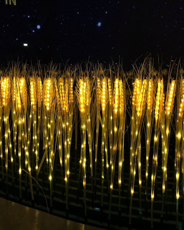 Nightfall Wheat Spark light