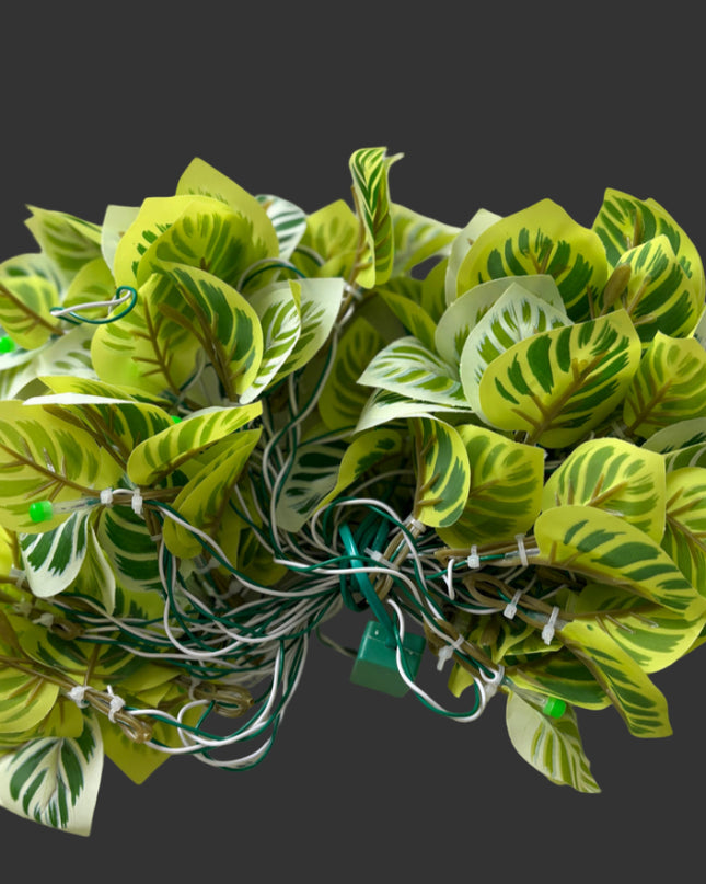 Money Plant LED Lights