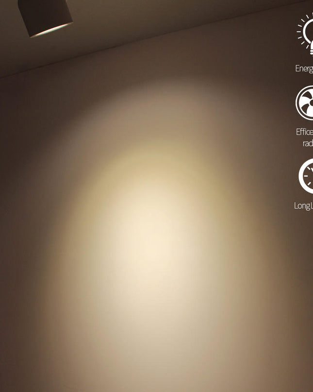Rotatable Downlight Magnetic Track Light