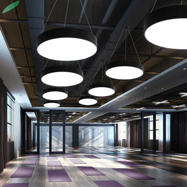 LED Circular Hanging Profile Light