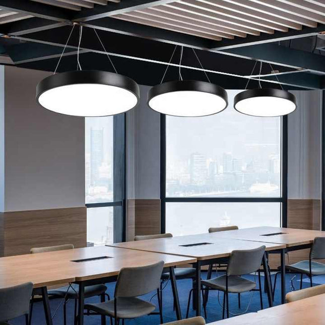 LED Circular Hanging Profile Light