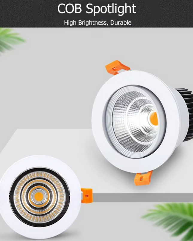 Concealed COB Spotlight