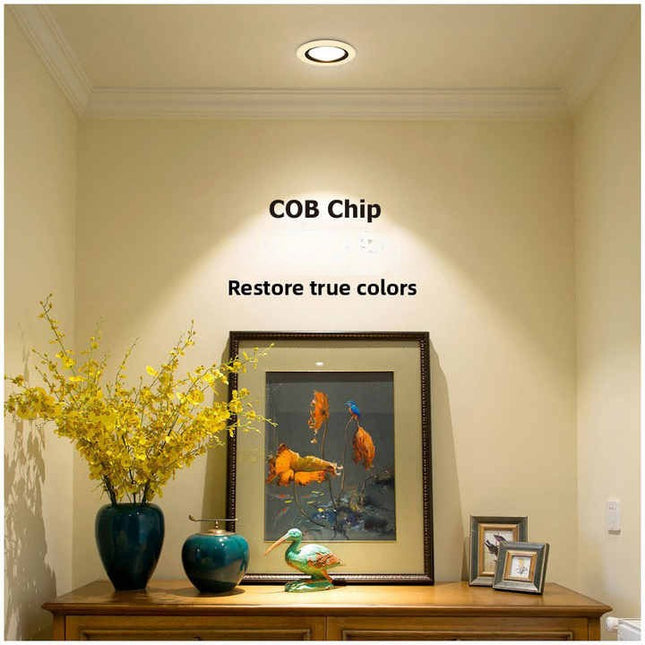 Concealed COB Spotlight